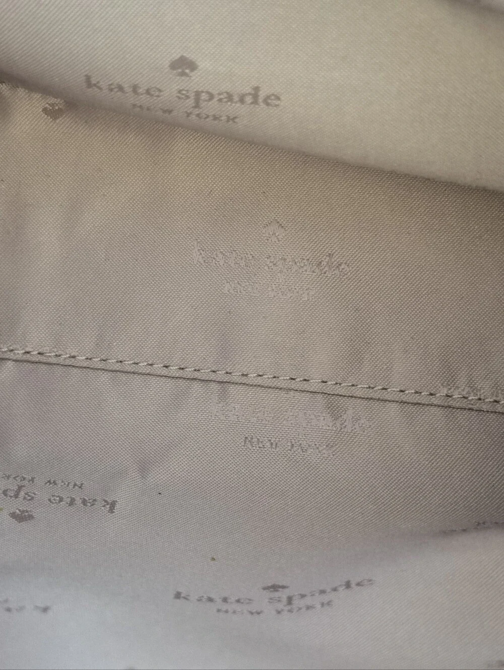 Kate Spade Mini Dumpling Crossbody Purse